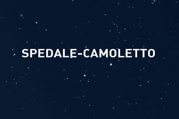 SPEDALE-CAMOLETTO