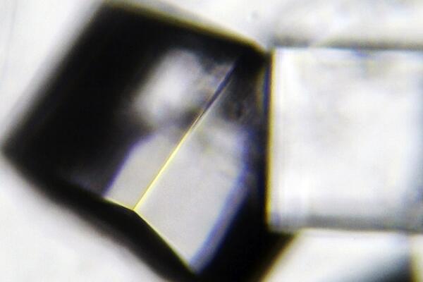 Micro. El cristal perfecto (Antarctica Project),