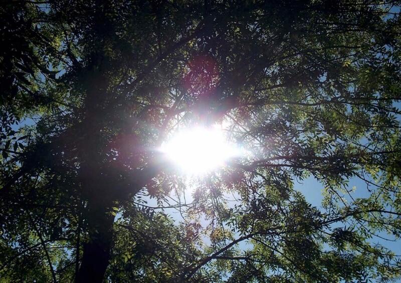 1. poema solar
