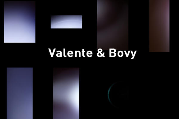 Valente &  Bovy